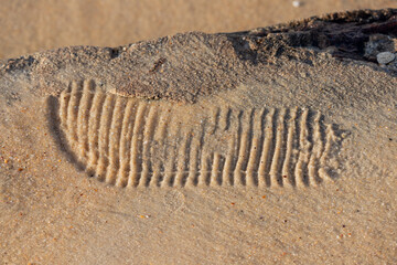 A shoe print in the sand on a beach in Rio de Janeiro.
