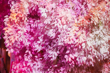 White and pink leaf used for decoration in a house in Rio de Janeiro.
