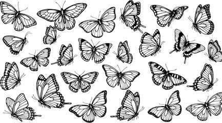 Nature-inspired Black  White Line Art Butterflies Collection - Hand-drawn Outline Sketch for Design and Decoration © kulinadsgn