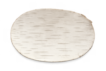 Birch bark oval frame cutout on transparent background