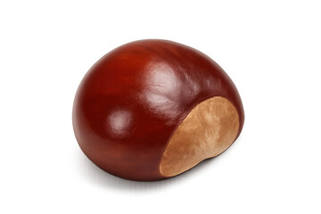 Obraz premium Shiny horse chestnut seed on transparent background