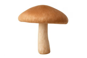 Single brown cap mushroom with a white stem