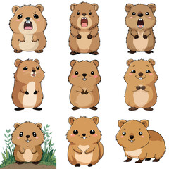 Set Icon of Quokka kawaii minimal flat