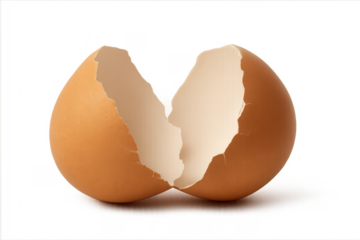 Broken brown eggshell on a transparent background