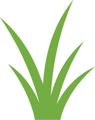 Simple Flat Green Grass Tufts Illustration Isolated on White Background