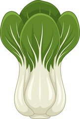 Fresh Style Cartoon Bok Choy Chinese Cabbage Isolated on White Background