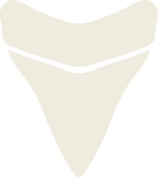 Minimalist Flat Design Shark Tooth Pale Yellow Sand Color Element