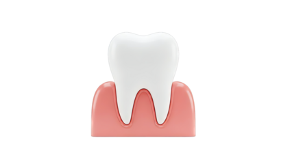 3D Cartoon Tooth in Pink Gums