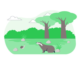 European badger and a snail in a grassy wooded area. Ecosystem vector illustration. Flat illustration concept. © roundsquid