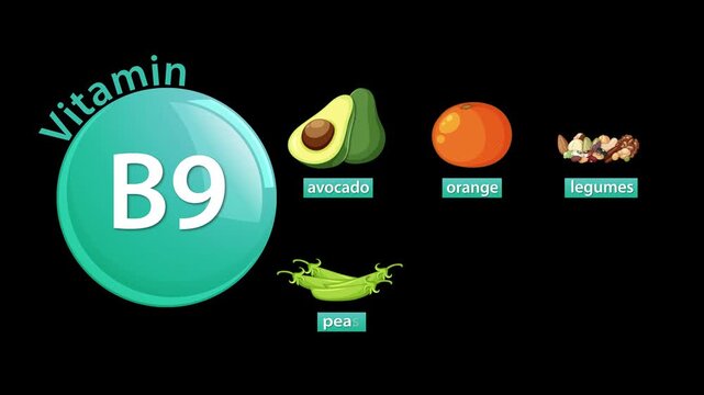 Vitamin B9 Sources Animation with Avocado, Orange, Legumes, Peas, Cabbage, Capsicum