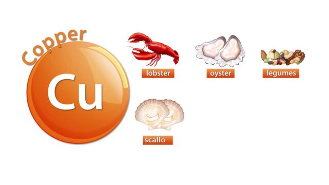 Copper Mineral Icon with High-Copper Food Sources Animation