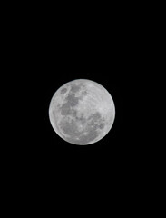 full moon in the night