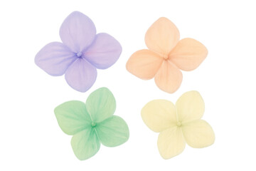 Hydrangea flowers set with pastel colors on transparent background