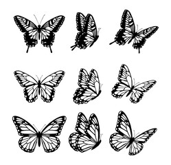 Collection of black butterfly silhouettes and hand drawn monarch butterfly icons isolated on white background for nature decoration © ruruki