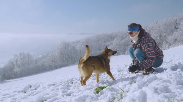 SLOW MOTION: Smiling woman plays with her mixed breed dog on a snowy hillside. Frosted woodland and a soft valley haze create a crisp, sunny winter backdrop for an authentic outdoor lifestyle moment.
