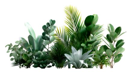 Lush green tropical foliage arrangement with diverse plant species including palm and broadleaf plants, perfect for naturethemed design projects and environmental presentations