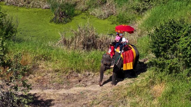 Tourists Riding an Elephant Through the Historic Countryside of Ayutthaya Thailand