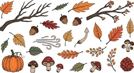 Obraz premium Vector illustration of various autumnal elements, including leaves, acorns, mushrooms, and a pumpkin, arranged on a white background in a colorful and seasonal composition.
