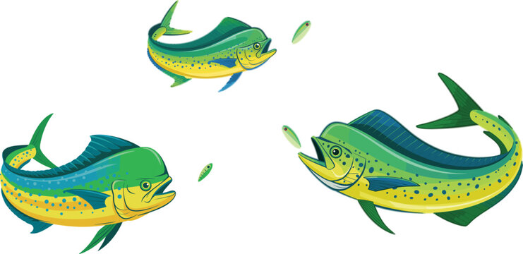 Vector set of colorful mahi mahi dolphin fish jumping and swimming with bait isolated on a white background