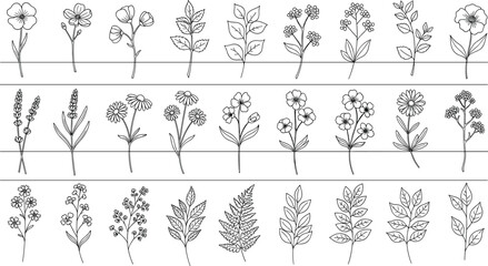 Obraz premium Hand Drawn Botanical Wildflower and Leaf Collection Featuring Daisy, Lavender, Fern, and Decorative Floral Stems, CAD Drawing Flat Vector Illustration