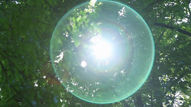 Intense sun shines through leafy tree canopy creating a large circular lens flare ring that drifts and pulses as camera reframes. Leaves ripple in breeze and highlights sparkle on green foliage.