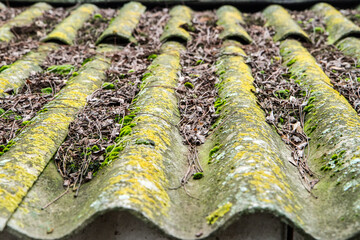 An old mossy slate roof with leaves and garbage. Slate roof close-up