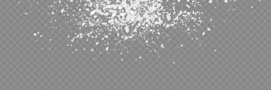 Snow overlay on transparent background. Vector illustration of falling snowflakes isolated.