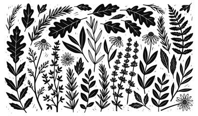 Botanical leaf vector illustration silhouettes, hand drawn linocut woodcut style floral set, wildflower herbs, garden foliage, organic plant elements for nature inspired design, spring background