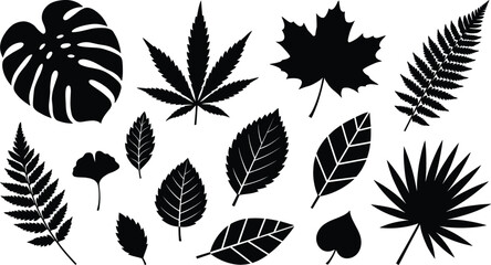 Botanical leaf silhouettes collection, tropical fern maple monstera foliage shapes, black vector nature elements isolated on white background design set © Shahariar's World