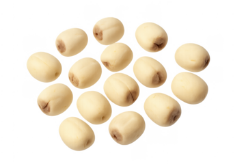 Dried lotus seeds scattering on transparent background