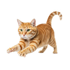 Fototapeta premium Orange tabby cat mid-leap isolated on transparent background