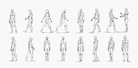 Human body outline sketches set, male and female figures in various poses, hand-drawn vector illustration. © Lunara Arts