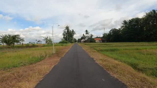 POV Motorbike Ride Through Wide Agricultural Area in Yogyakarta