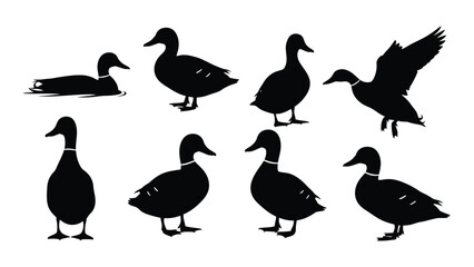 Fototapeta premium Black silhouette illustrations of ducks in various poses and stages of movement