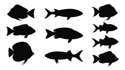 A collection of black fish silhouettes of varying shapes and sizes against white background © SILHUETTECHEMBER
