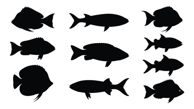 A collection of black fish silhouettes of varying shapes and sizes against white background