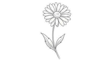 A detailed black and white sketch of a single daisy flower with a long stem and two leaves. © Budi Studio