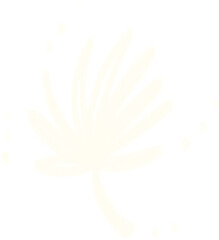 Fototapeta premium White Dandelion Seed with Soft Glow on Black Background, Minimal Botanical Illustration