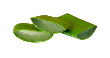 aloe vera leaf slice isolated