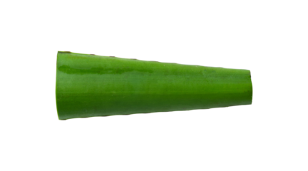 single aloe vera leaf isolated