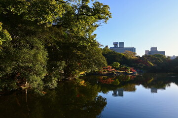 Ritsurin Garden Landscape with Reflective Pond in Takamatsu, Kagawa Prefecture, Japan