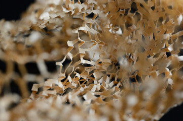 乱雑に置いた網目の紙01