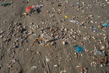 Beach littered with plastic waste, shells, and debris highlighting environmental pollution issues