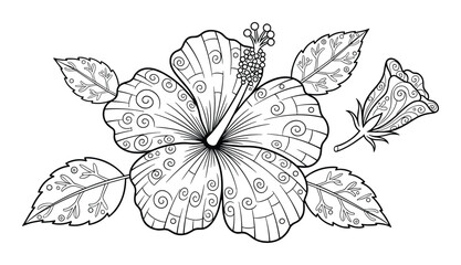 Fototapeta premium Hibiscus outline drawing for coloring with tropical foliage isolated flower petal decoration