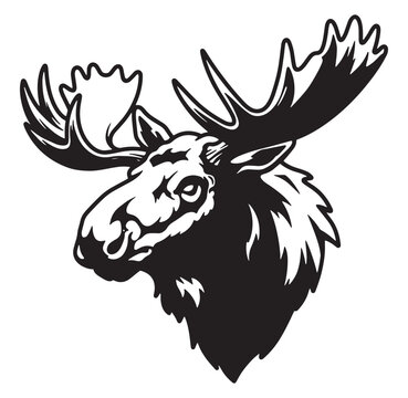 Majestic silhouette illustration of a moose head featuring antlers and nature design