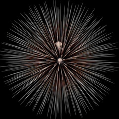 Obraz premium Close-up shot of a vibrant firework exploding in a radial burst of colorful lights against a dark background with a dynamic and celebratory mood.