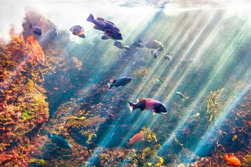 葛西臨海水族館