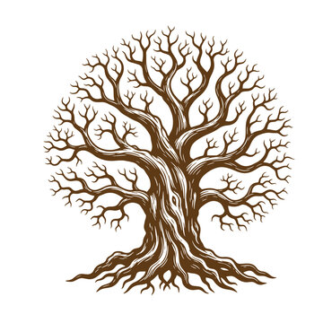 Vintage Brown tree with many branches and roots on white background