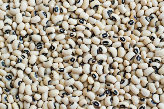 Black-eyed pea or cowpeas an old world plant domesticated in Africa,background
