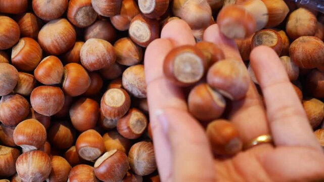 Selecting fresh hazelnuts from a market